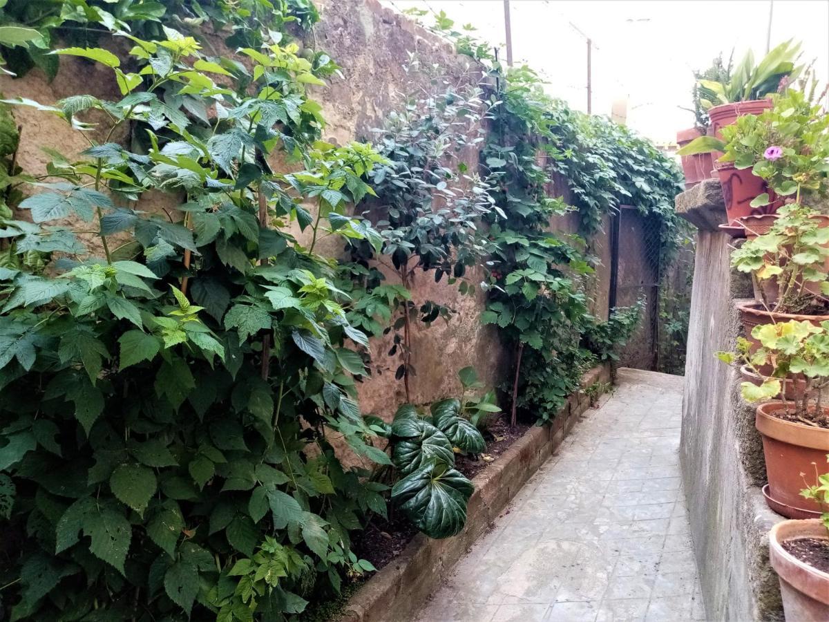 Casa Da Judiaria Velha Hotell Viseu Eksteriør bilde