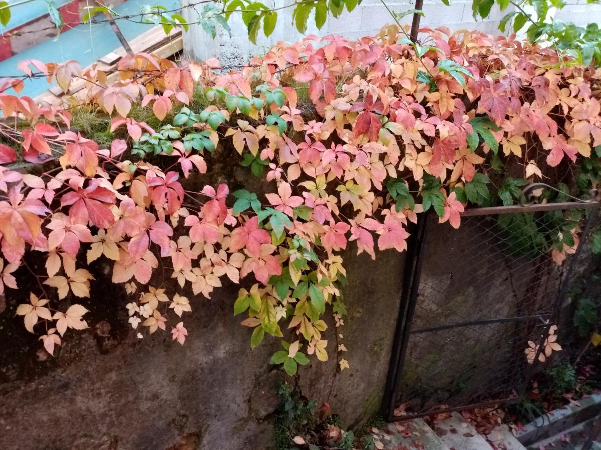 Casa Da Judiaria Velha Hotell Viseu Eksteriør bilde
