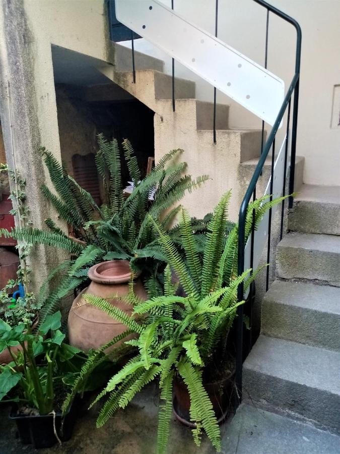 Casa Da Judiaria Velha Hotell Viseu Eksteriør bilde