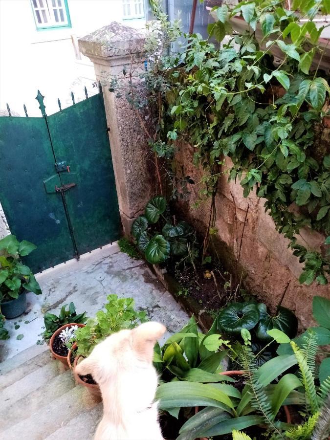 Casa Da Judiaria Velha Hotell Viseu Eksteriør bilde
